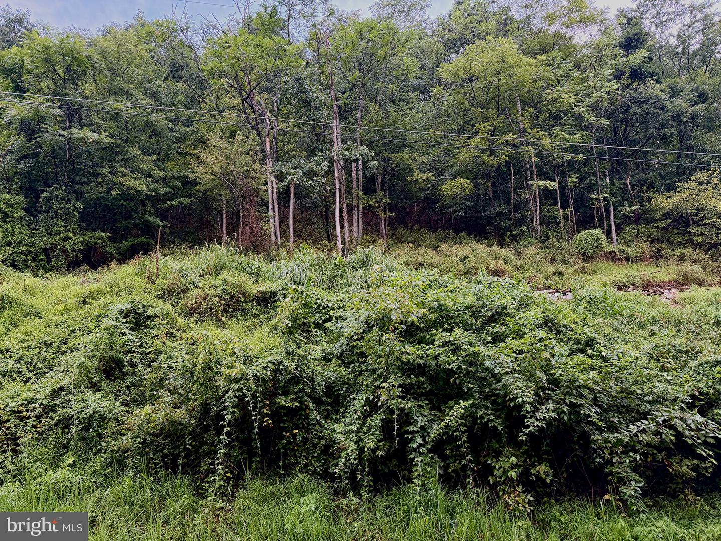 Lot 11b Lucas Hollow Rd Property Photo 4
