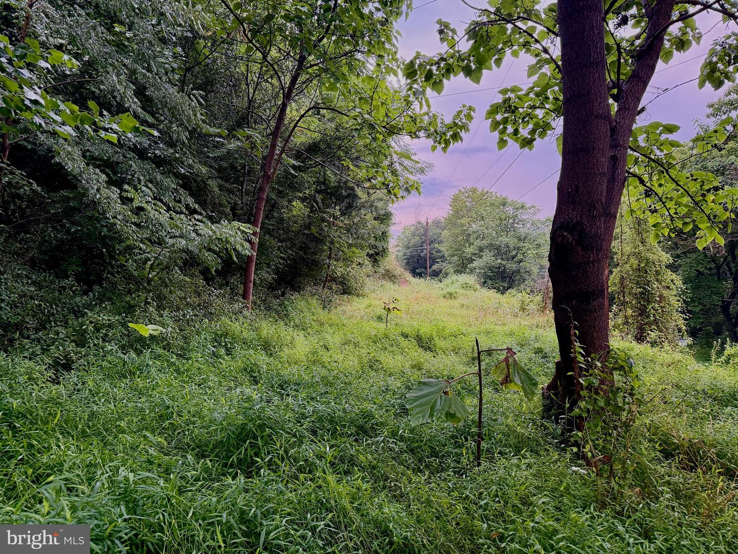 Lot 11b Lucas Hollow Rd Property Photo 5