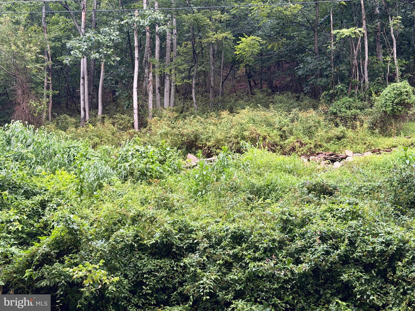 Lot 11b Lucas Hollow Rd Property Photo 7