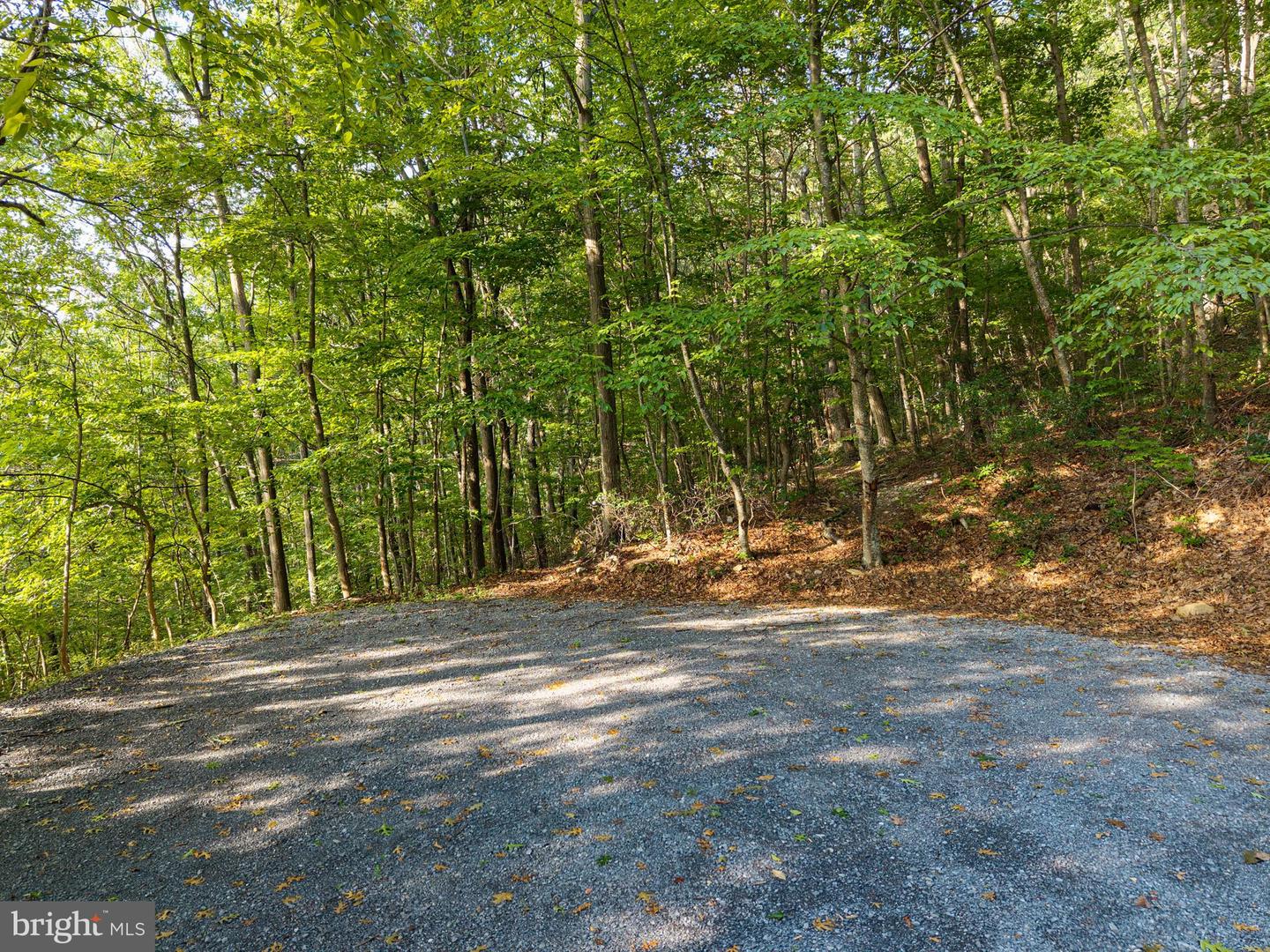 Lot B54 Roundhead Mountain Property Photo 12