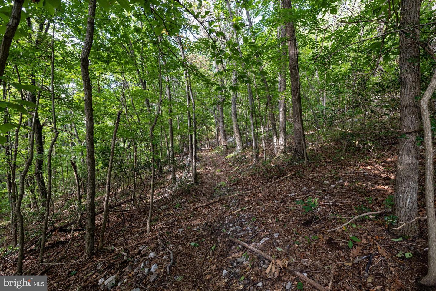 Lot B54 Roundhead Mountain Property Photo 15