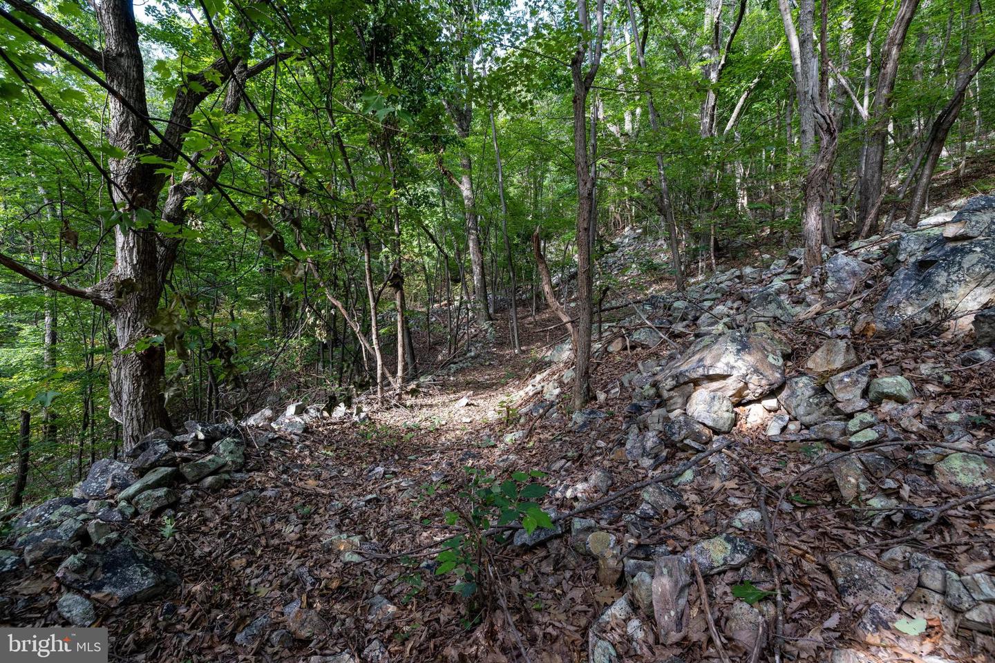 Lot B54 Roundhead Mountain Property Photo 16