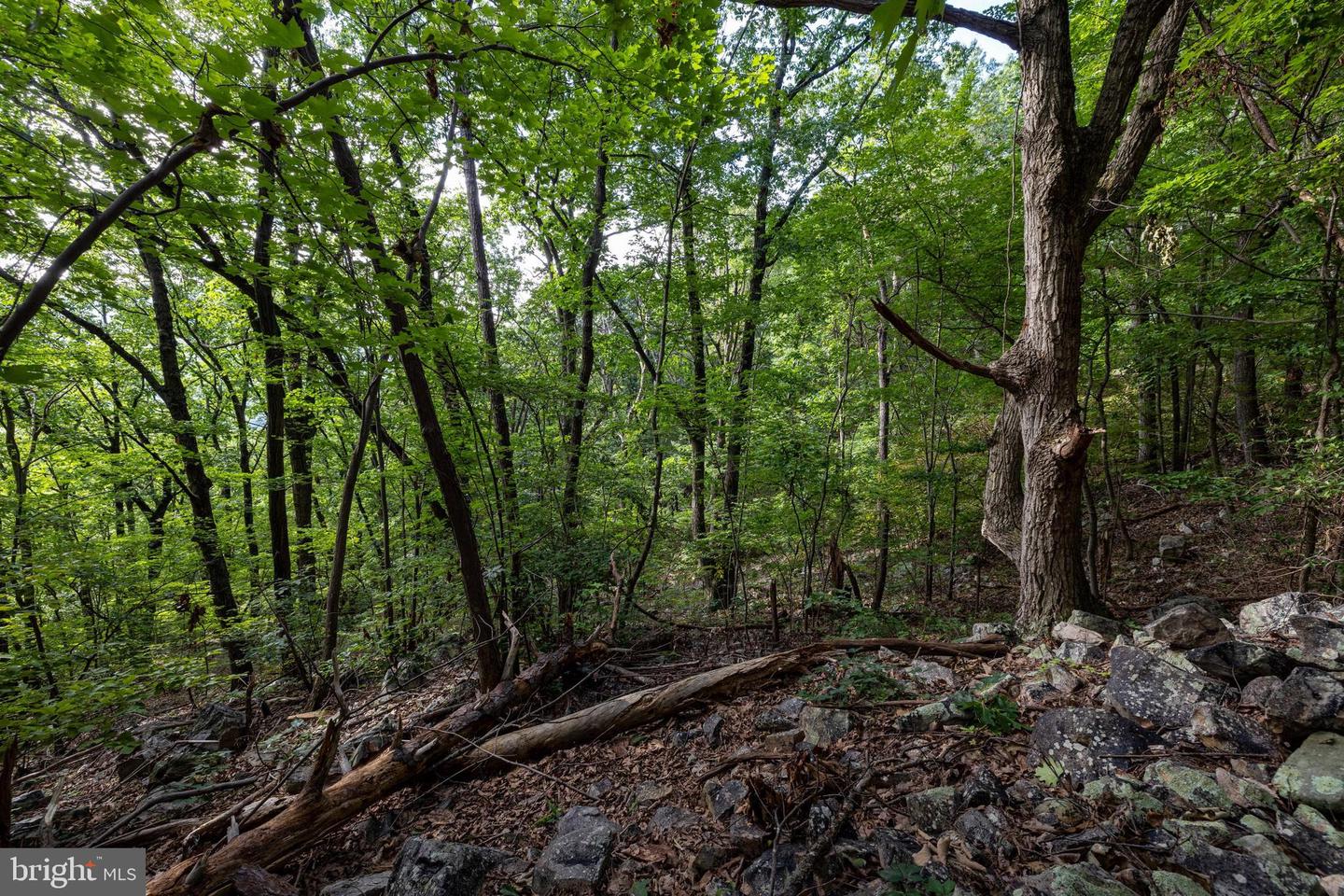 Lot B54 Roundhead Mountain Property Photo 17