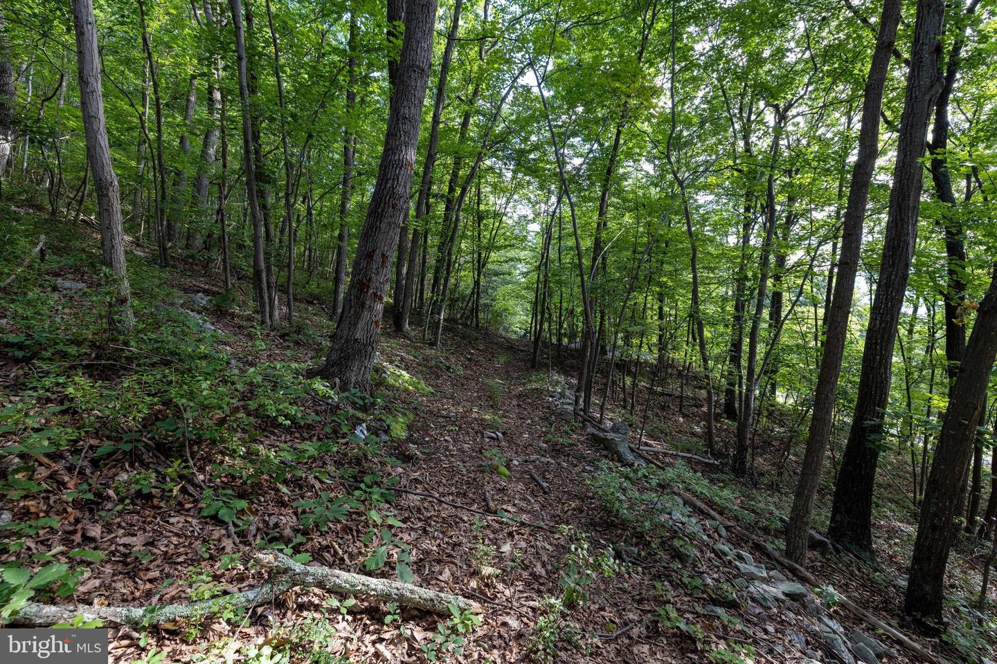 Lot B54 Roundhead Mountain Property Photo 18