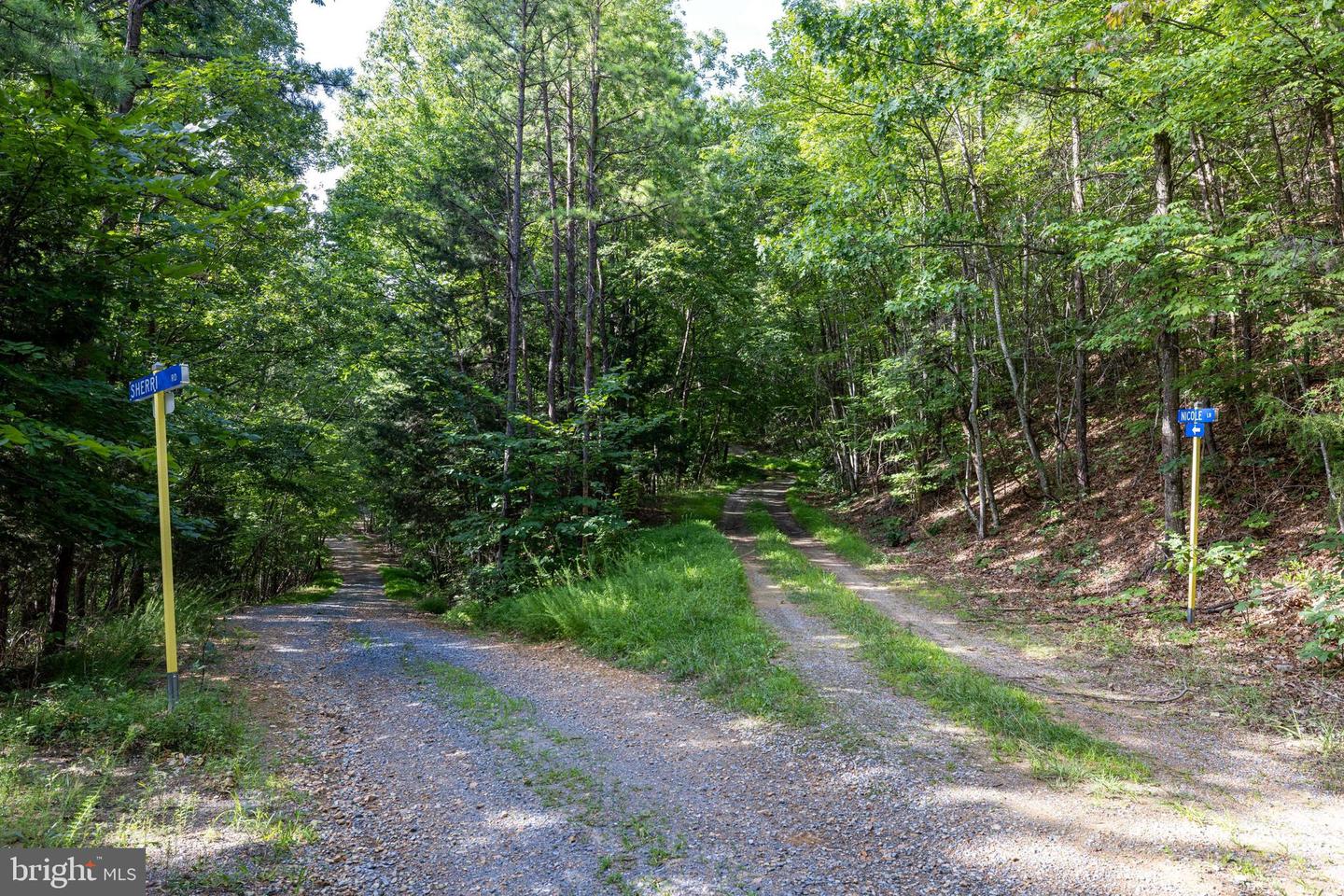 Lot B54 Roundhead Mountain Property Photo 29