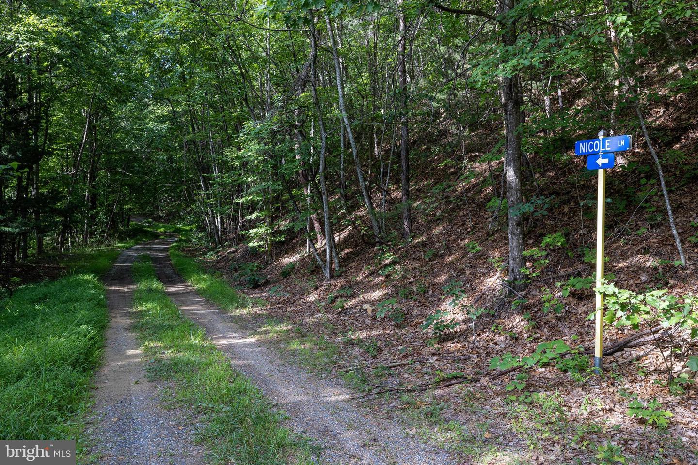 Lot B54 Roundhead Mountain Property Photo 30