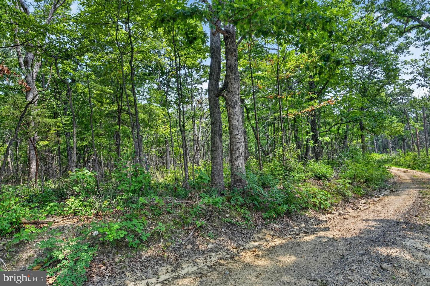 Indian Trail Rd Property Photo 3