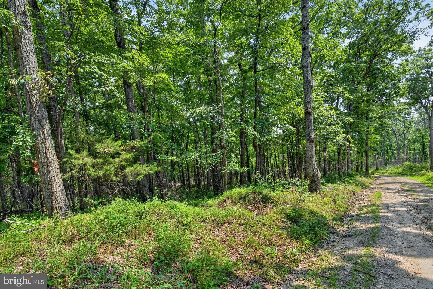 Indian Trail Rd Property Photo 6