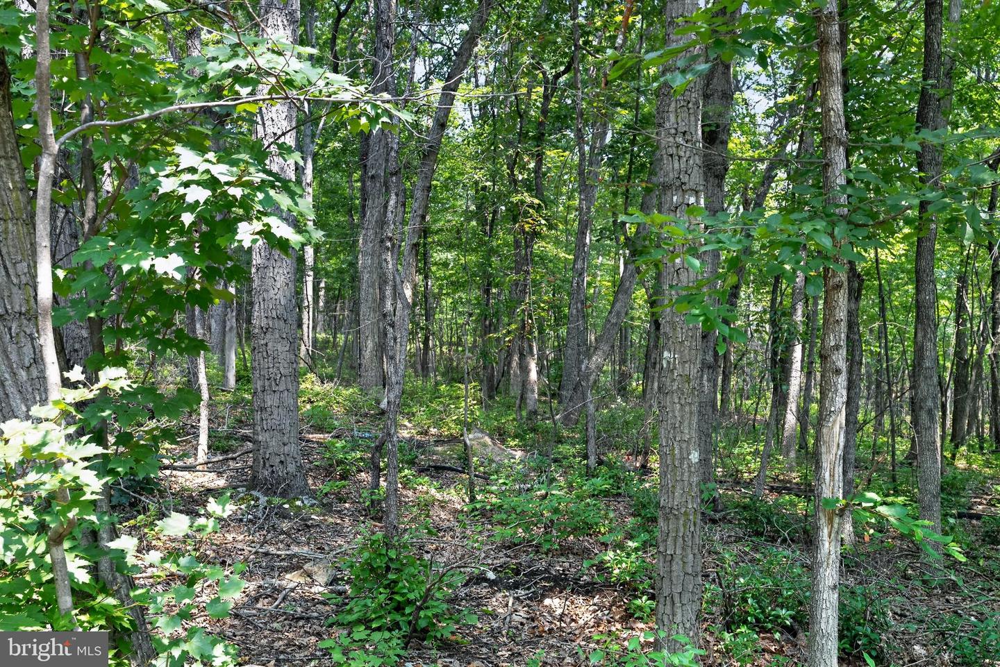 Indian Trail Rd Property Photo 7
