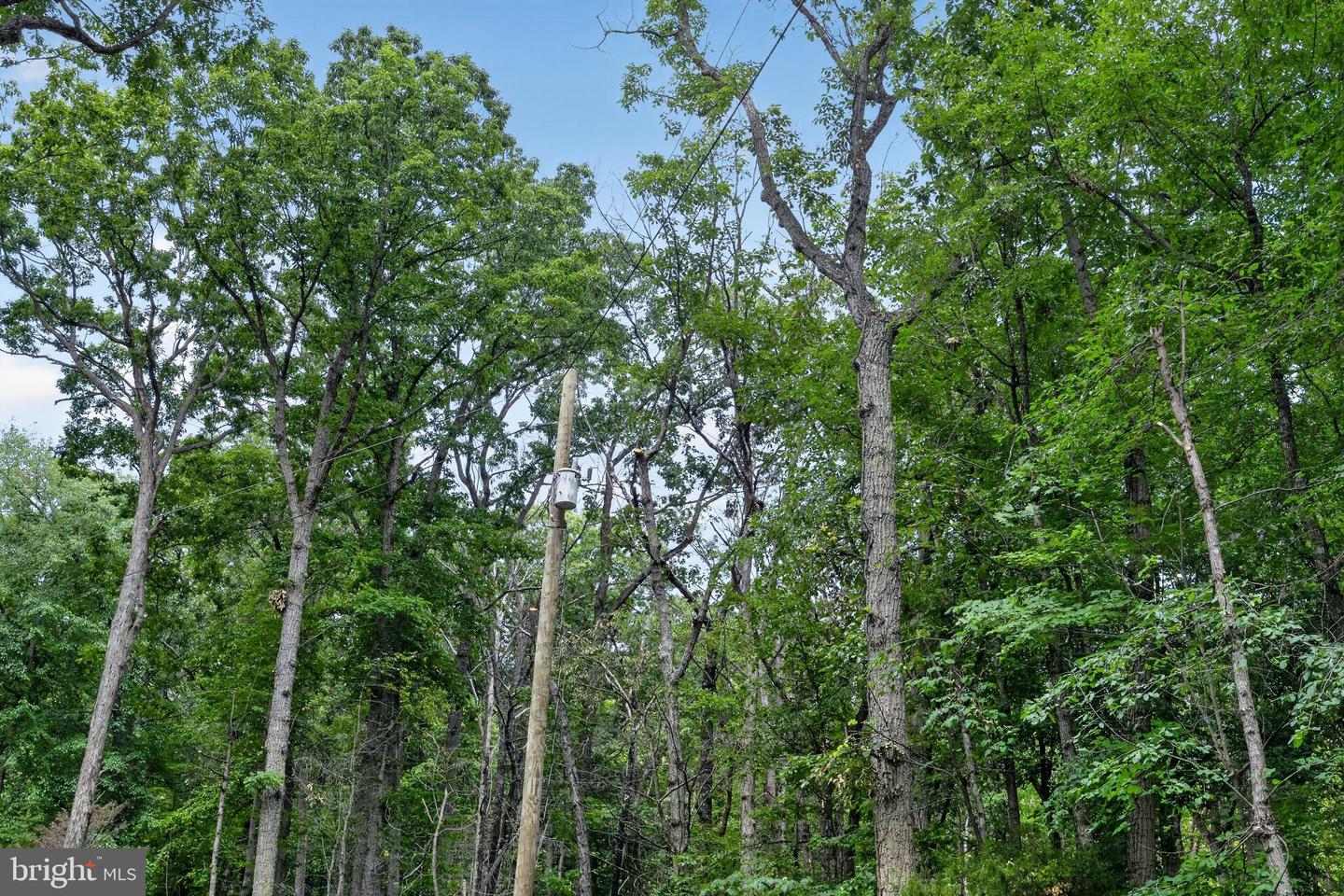 Indian Trail Rd Property Photo 8