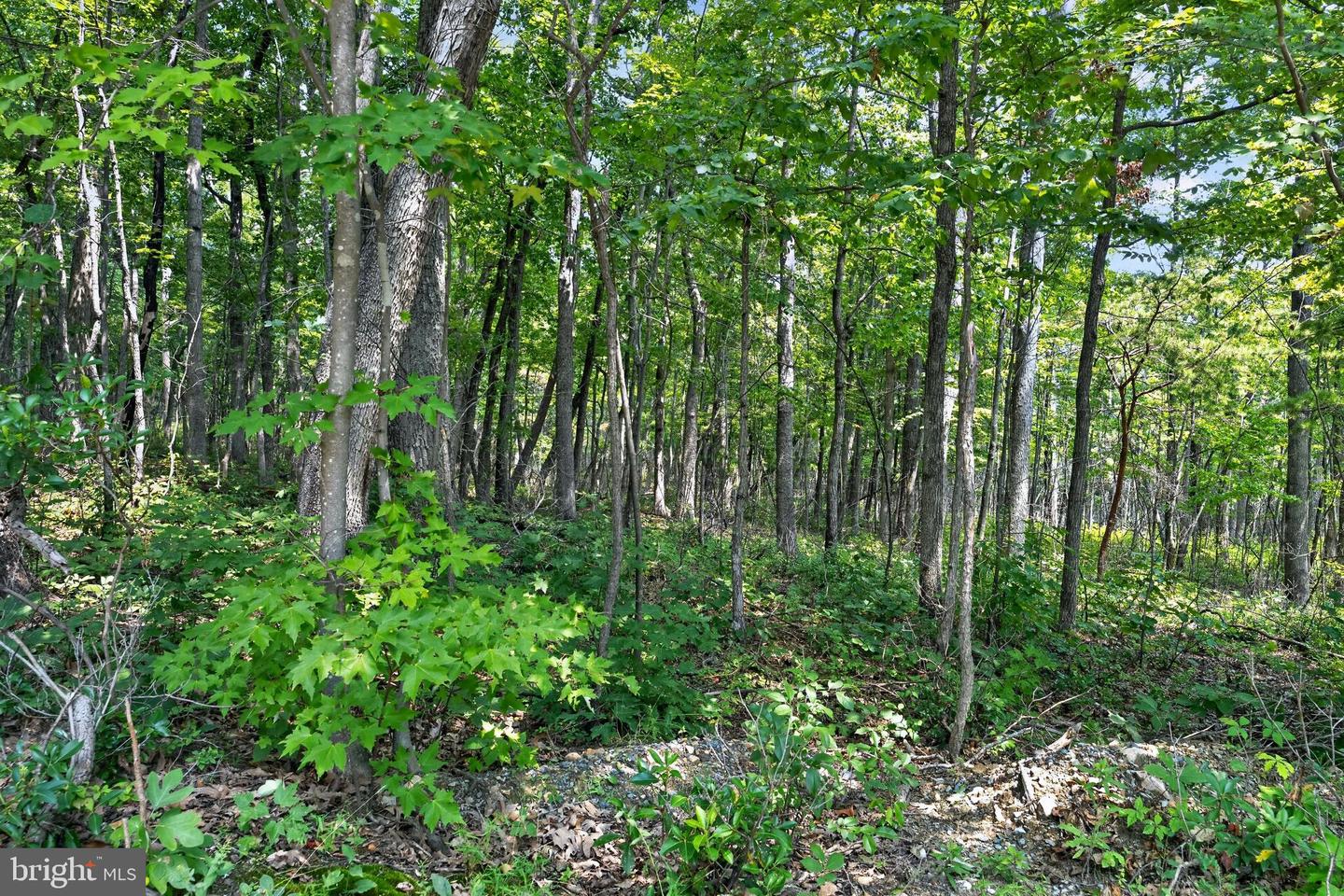 Indian Trail Rd Property Photo 9
