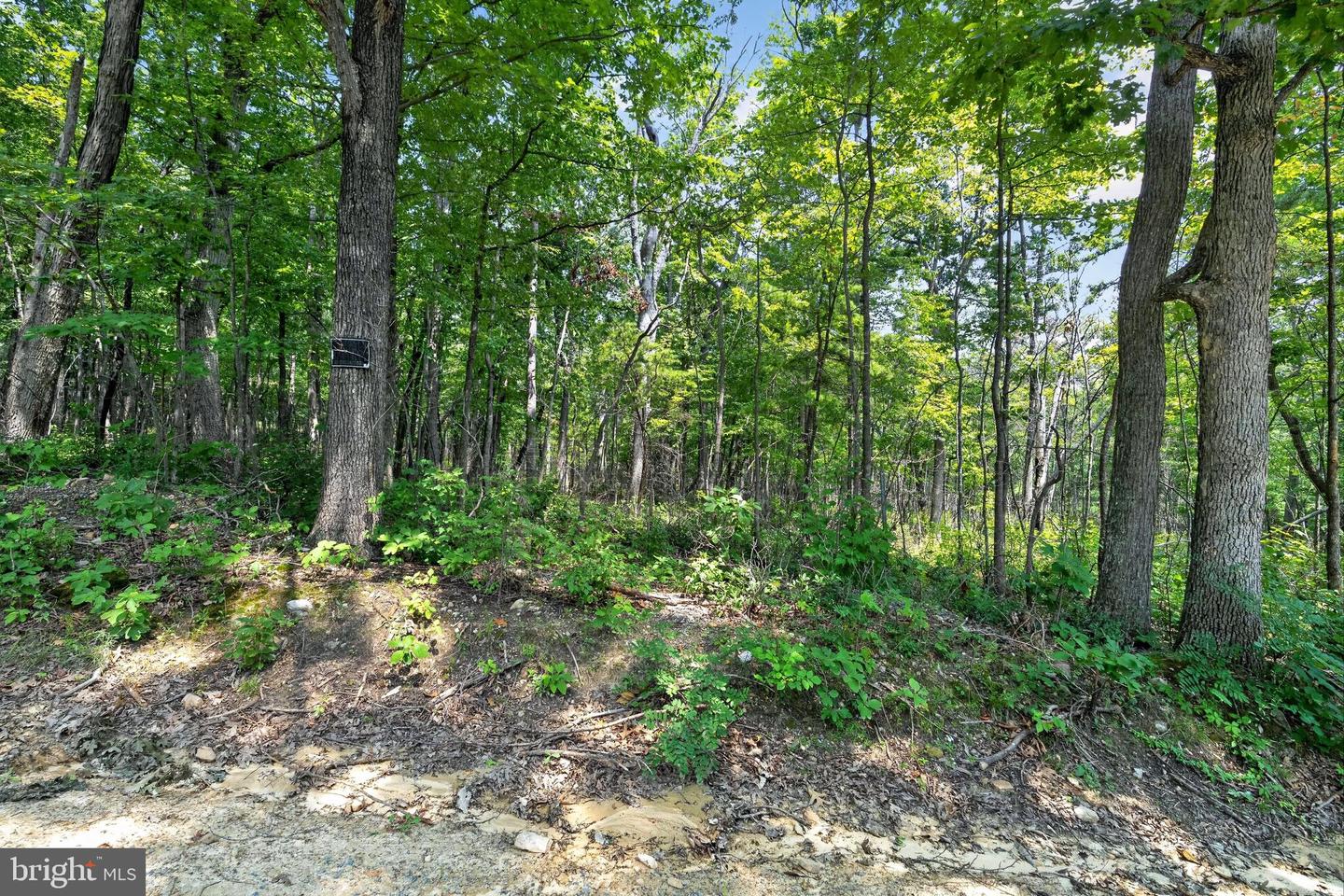 Indian Trail Rd Property Photo 10