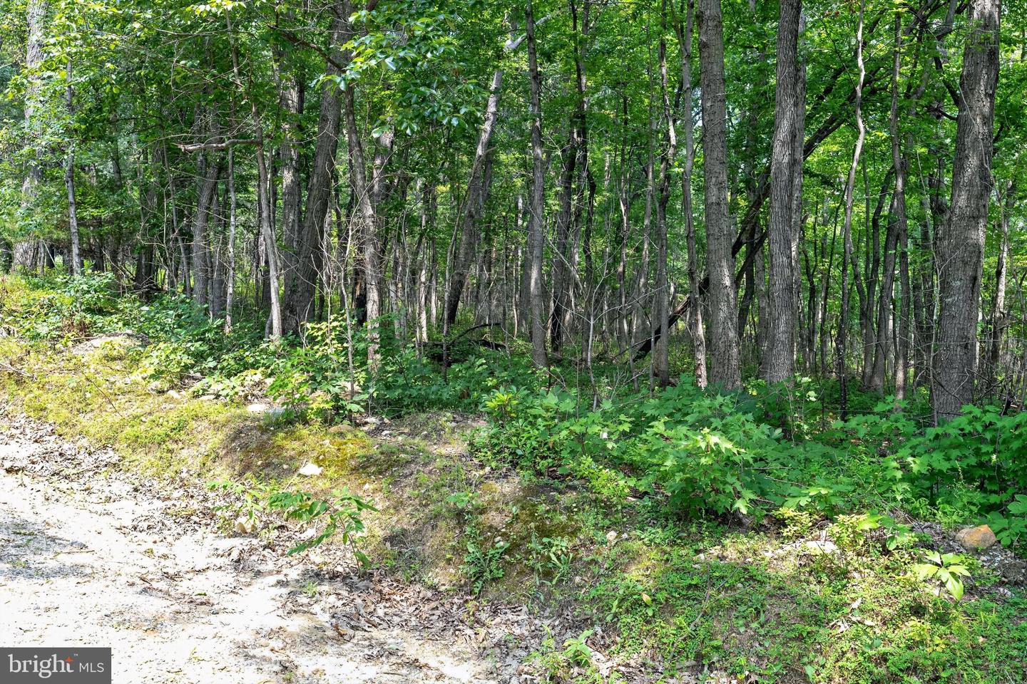 Indian Trail Rd Property Photo 11