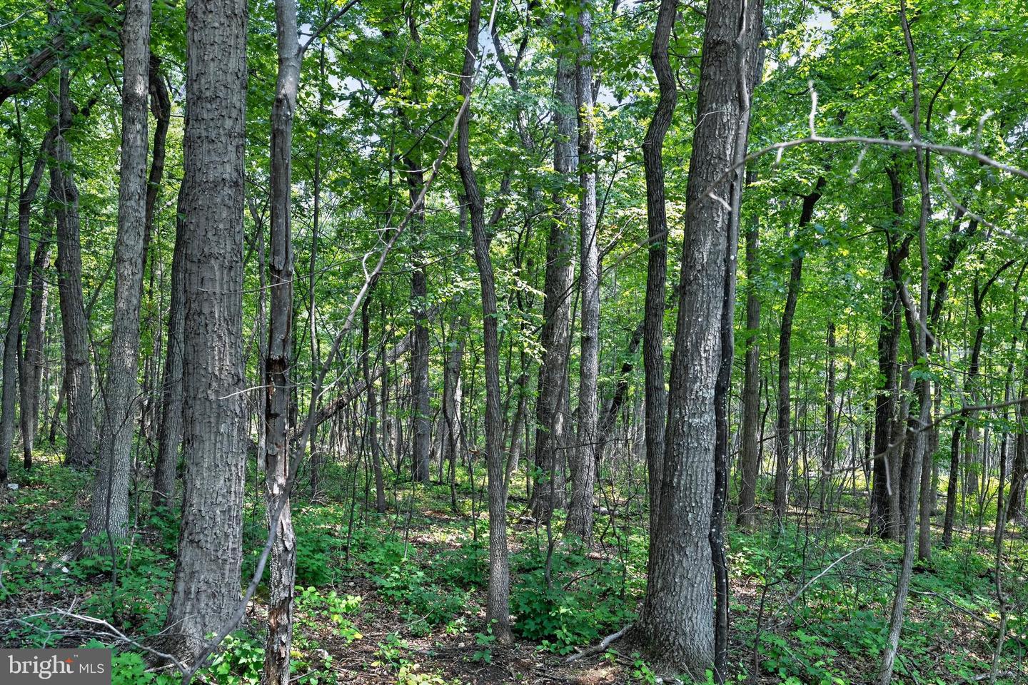 Indian Trail Rd Property Photo 12