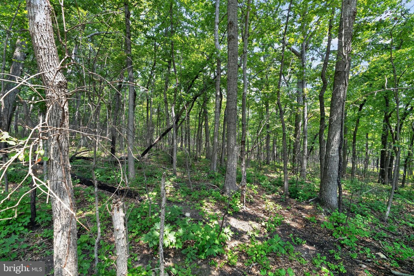 Indian Trail Rd Property Photo 14