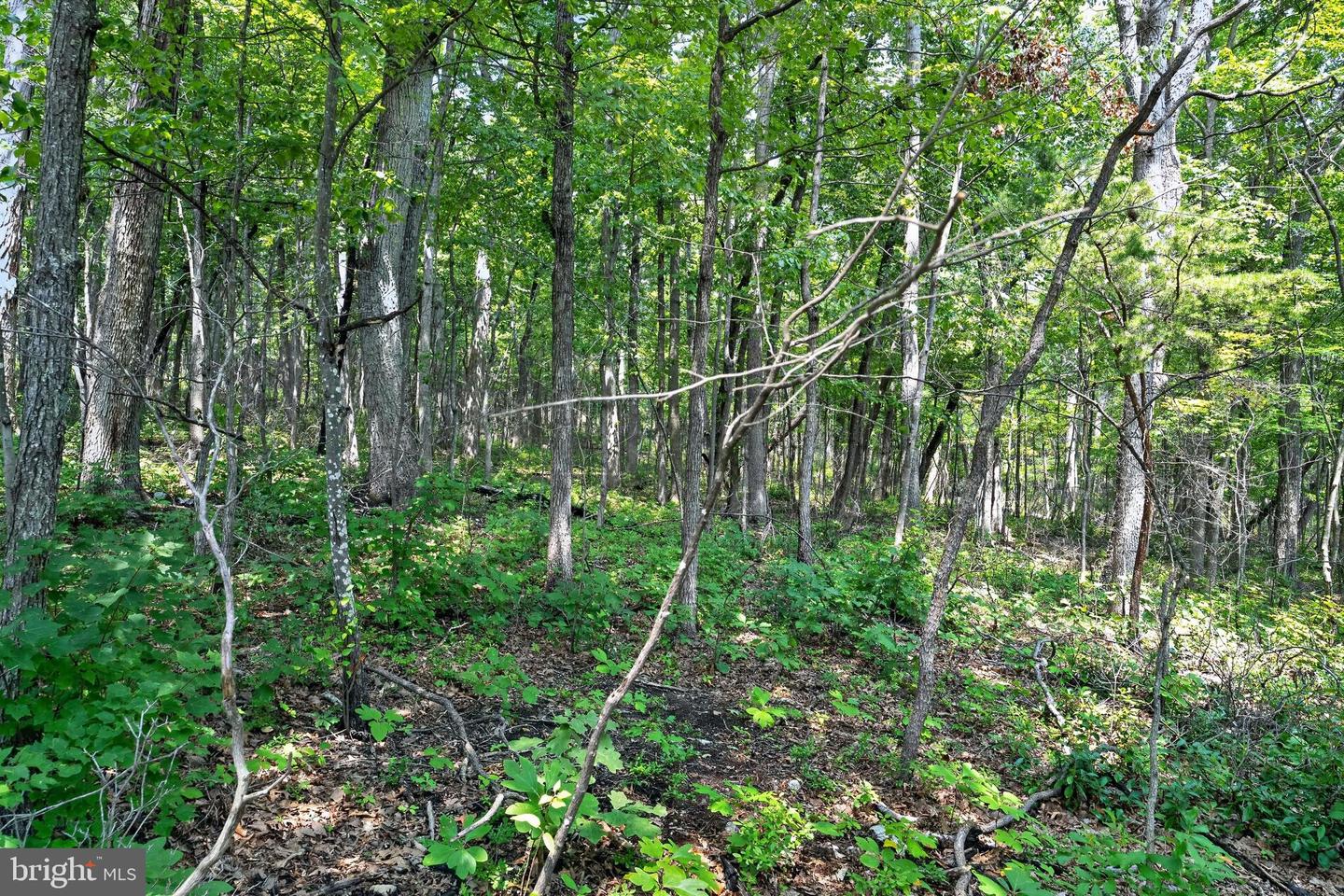 Indian Trail Rd Property Photo 15