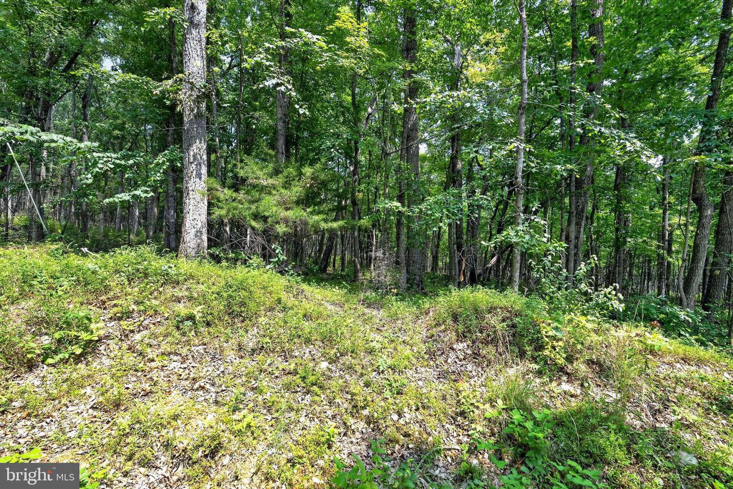 Indian Trail Rd Property Photo 16
