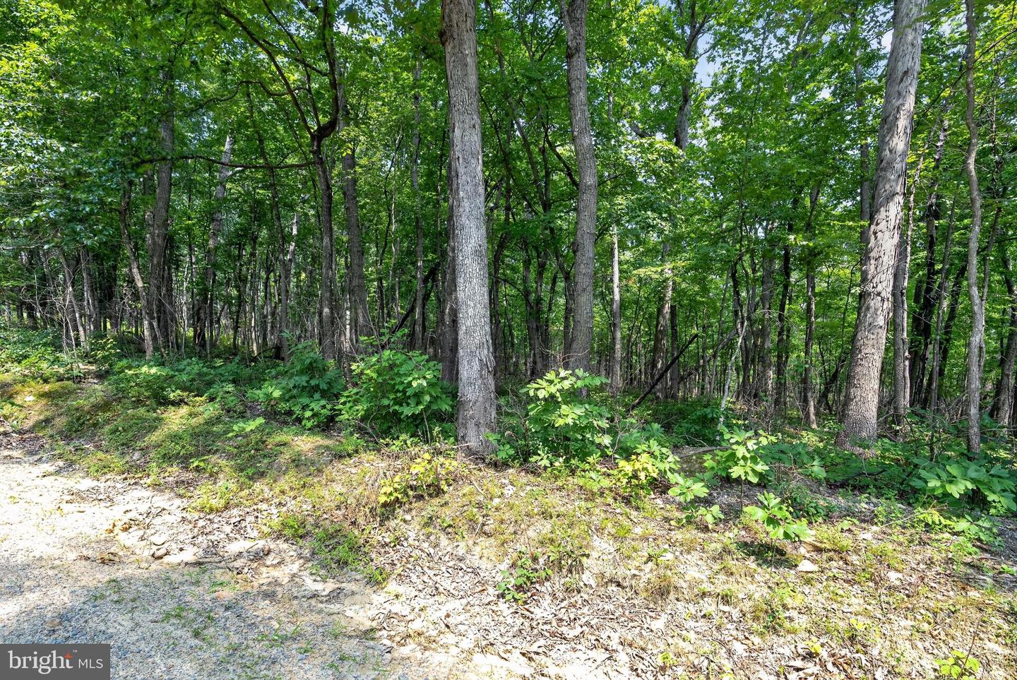 Indian Trail Rd Property Photo 17
