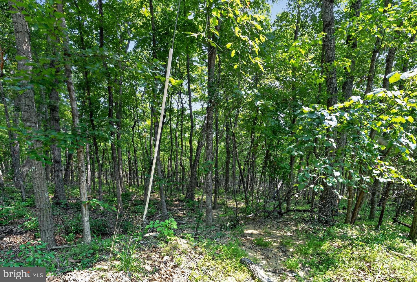 Indian Trail Rd Property Photo 18