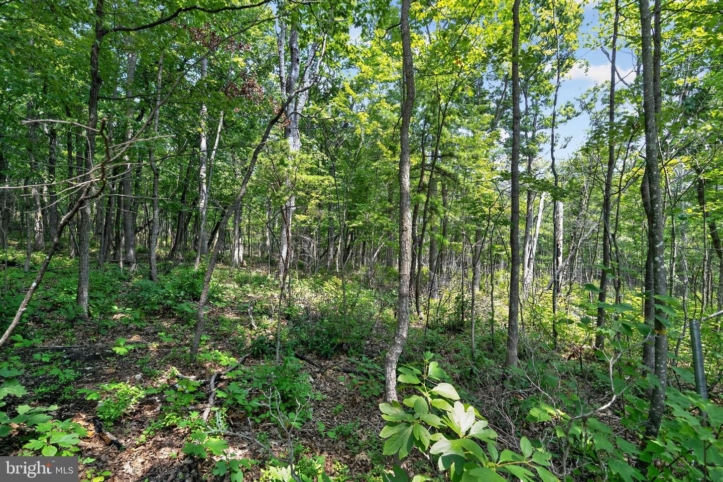 Indian Trail Rd Property Photo 19