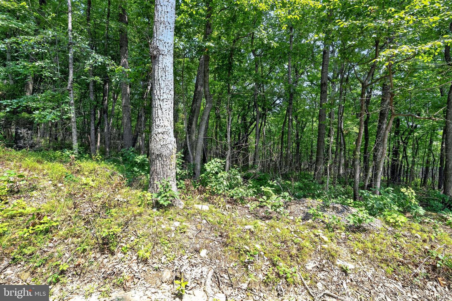 Indian Trail Rd Property Photo 23
