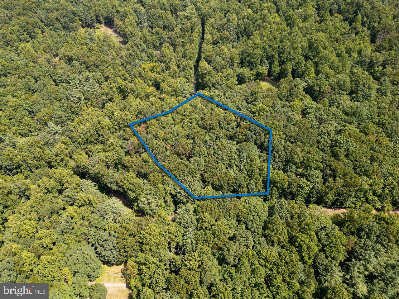 Tbd Friendly Lane Property Photo 9