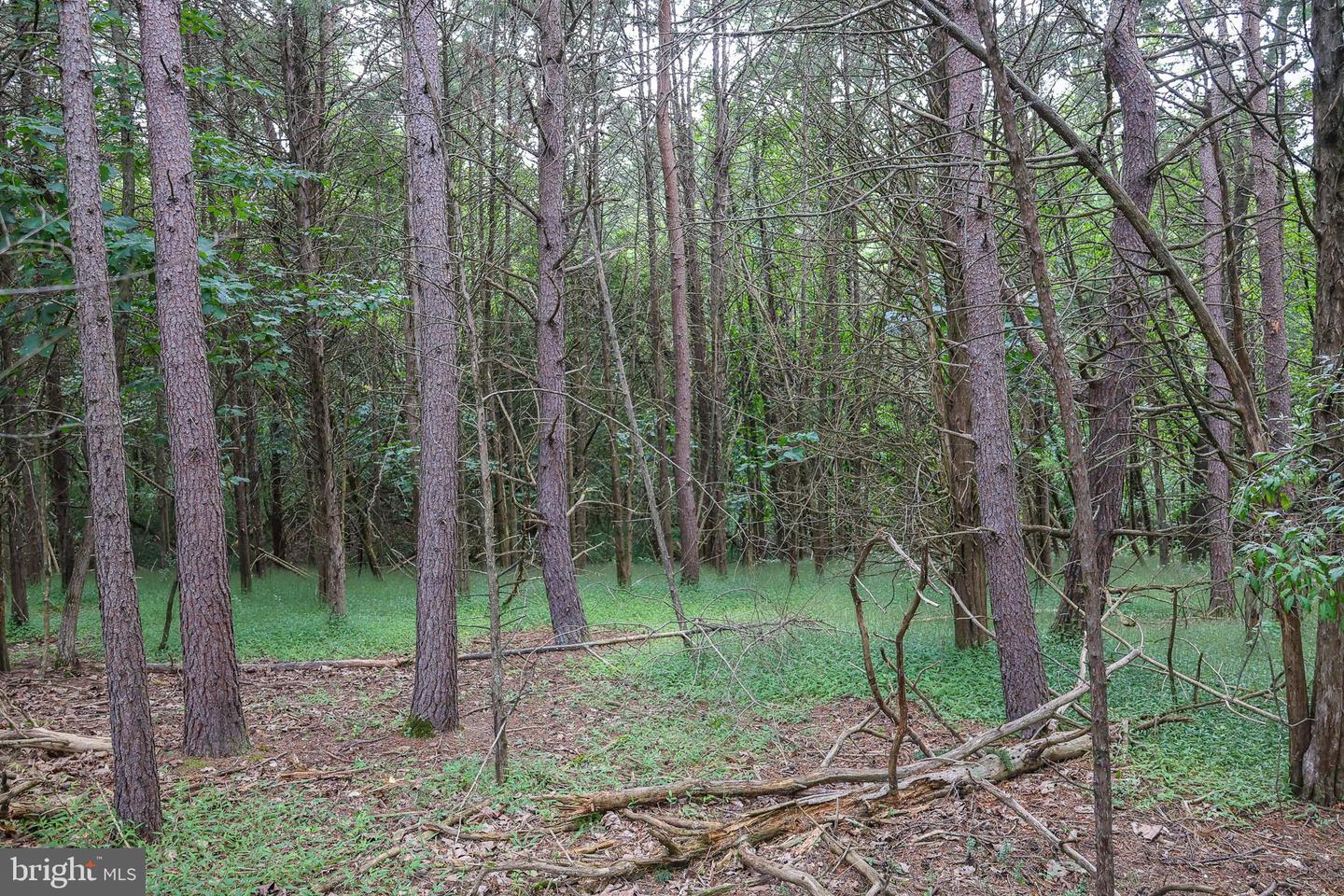 Lot 10 And Lot 11 River View Dr Property Photo 12
