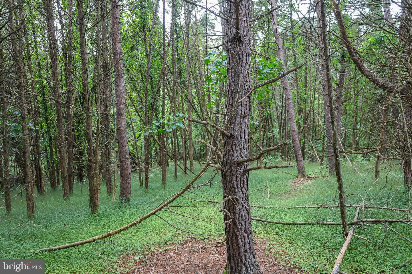 Lot 10 And Lot 11 River View Dr Property Photo 13