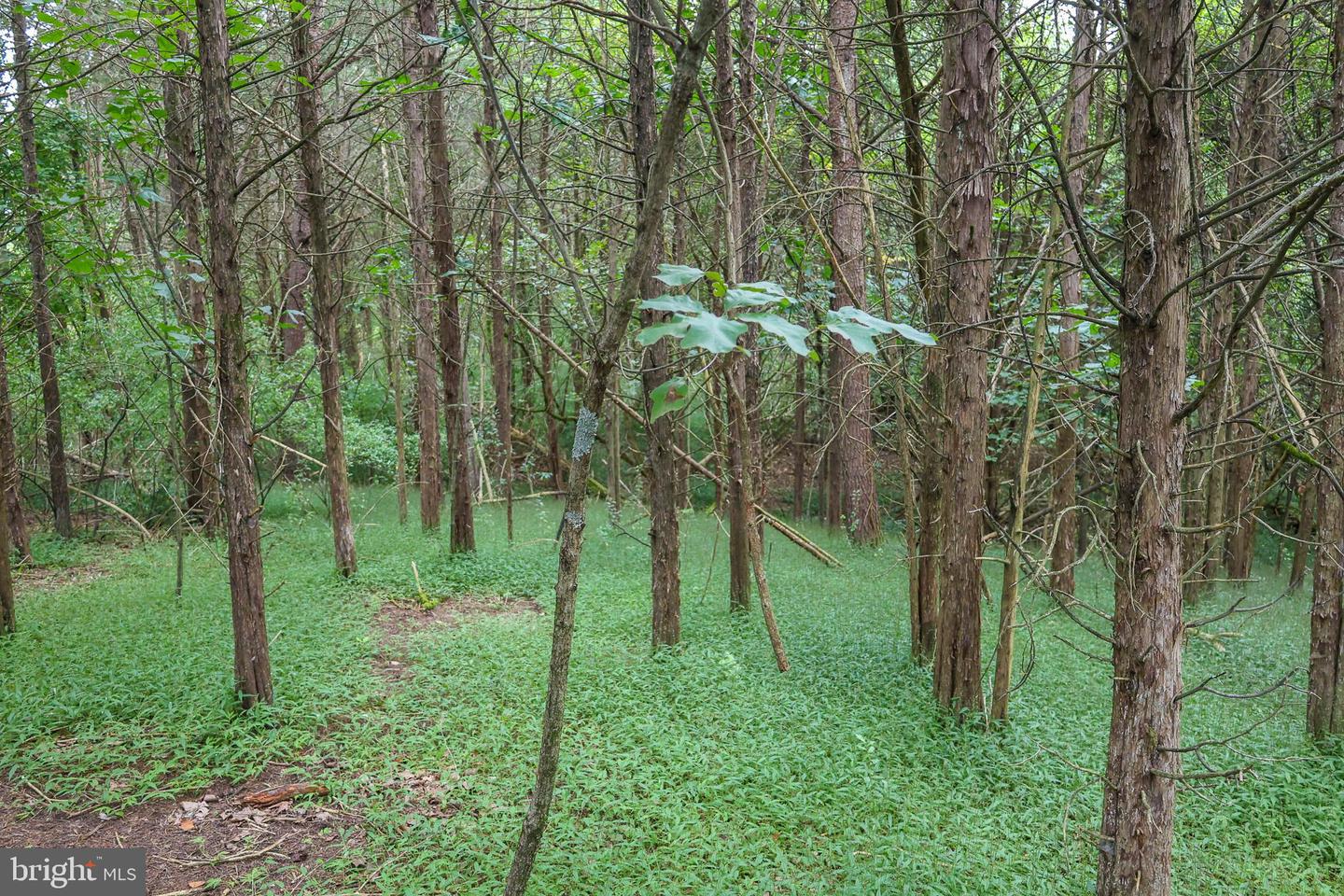 Lot 10 And Lot 11 River View Dr Property Photo 14
