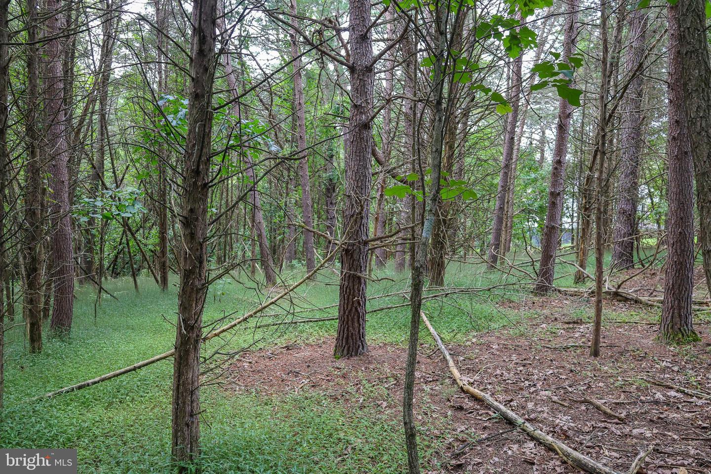 Lot 10 And Lot 11 River View Dr Property Photo 15