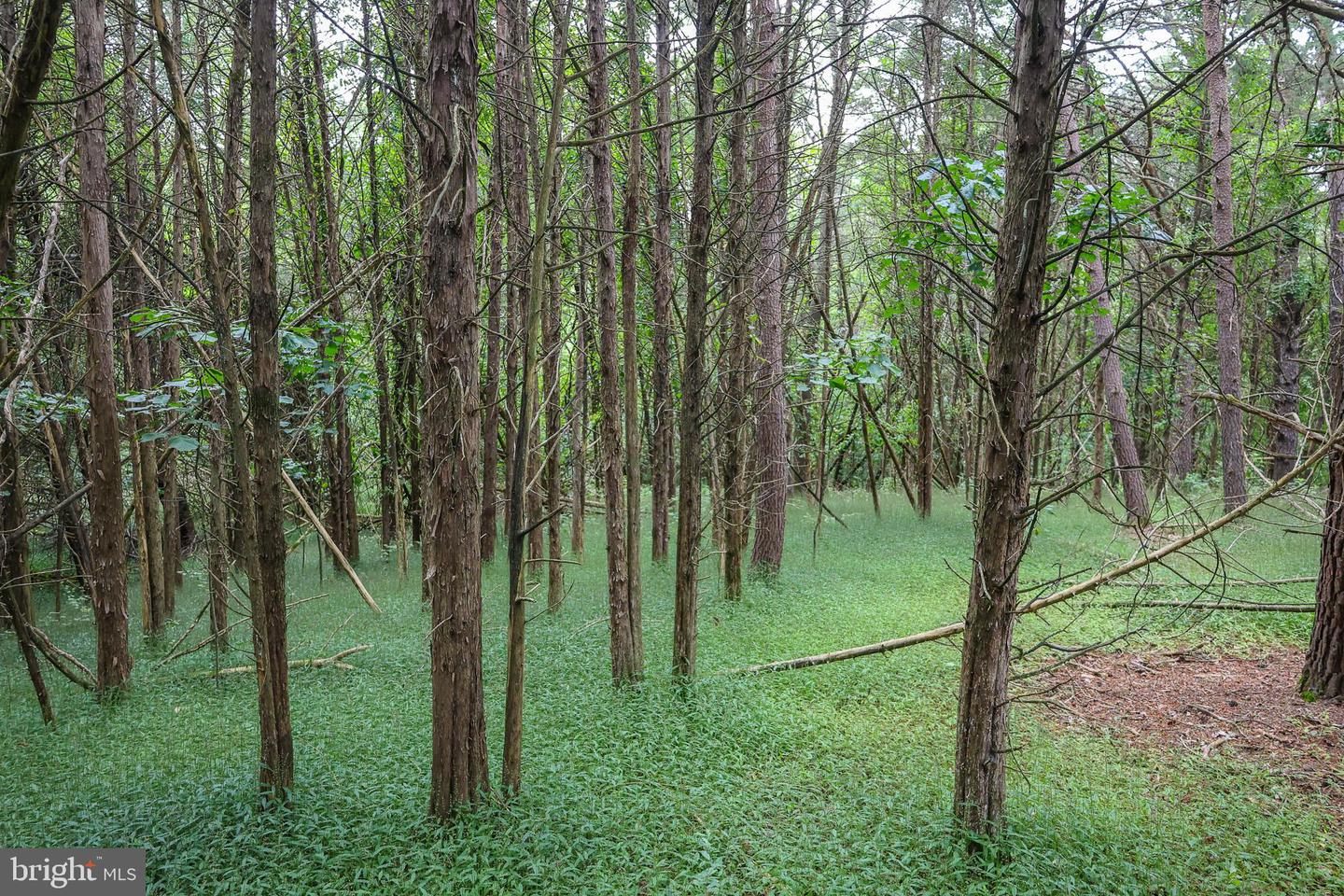 Lot 10 And Lot 11 River View Dr Property Photo 16