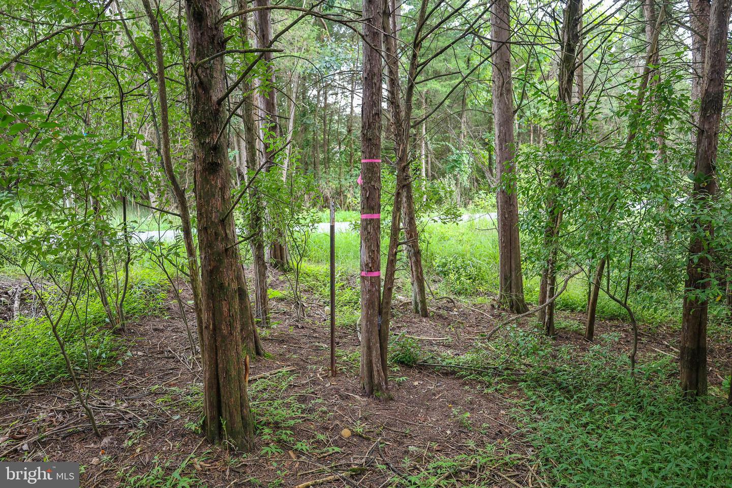 Lot 10 And Lot 11 River View Dr Property Photo 17
