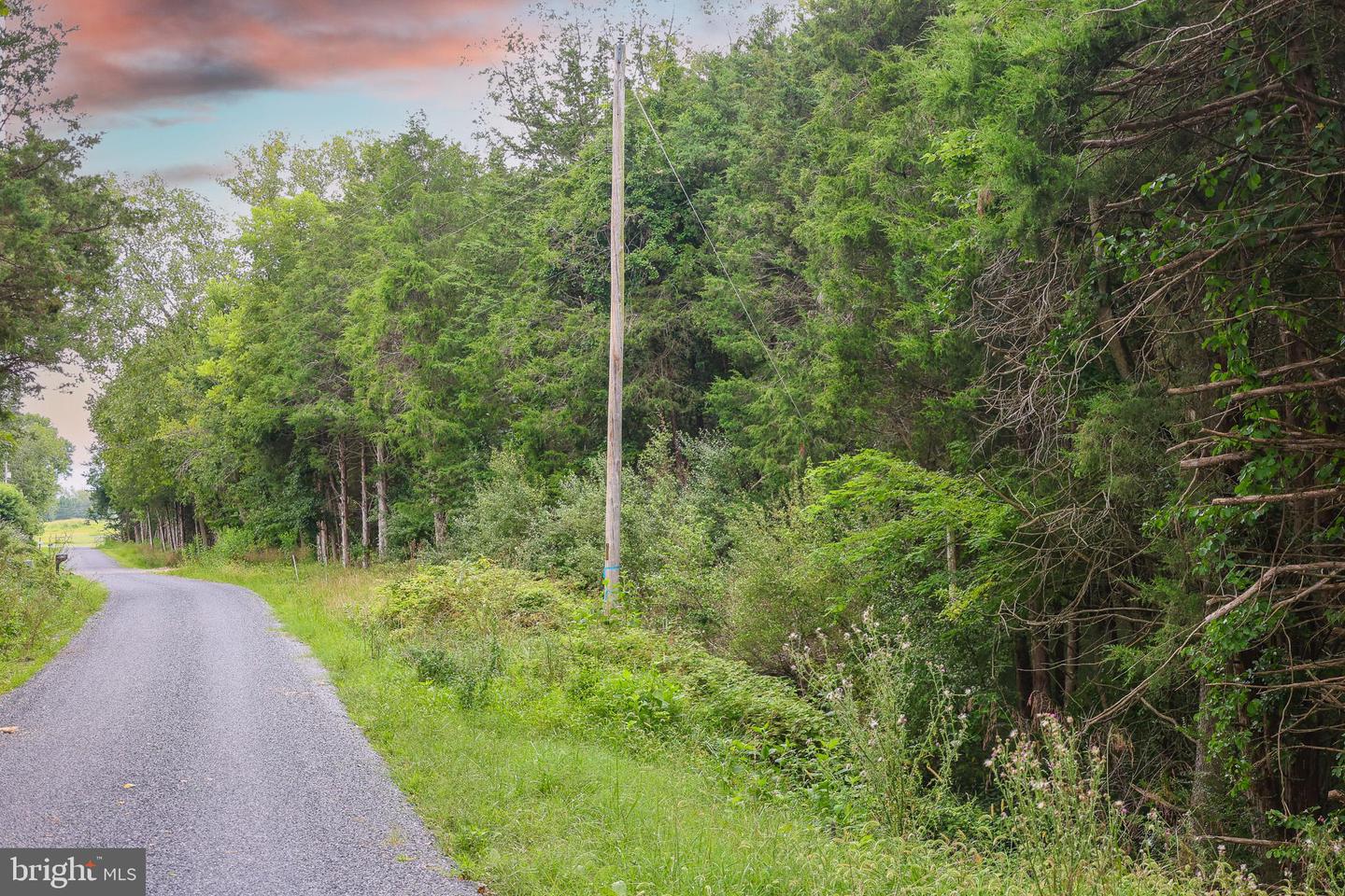Lot 10 And Lot 11 River View Dr Property Photo 18