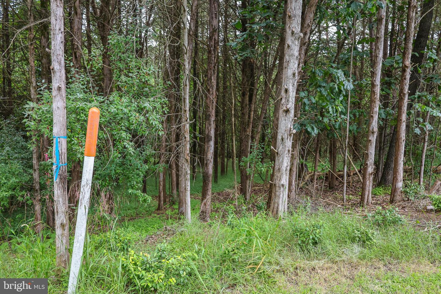 Lot 10 And Lot 11 River View Dr Property Photo 19