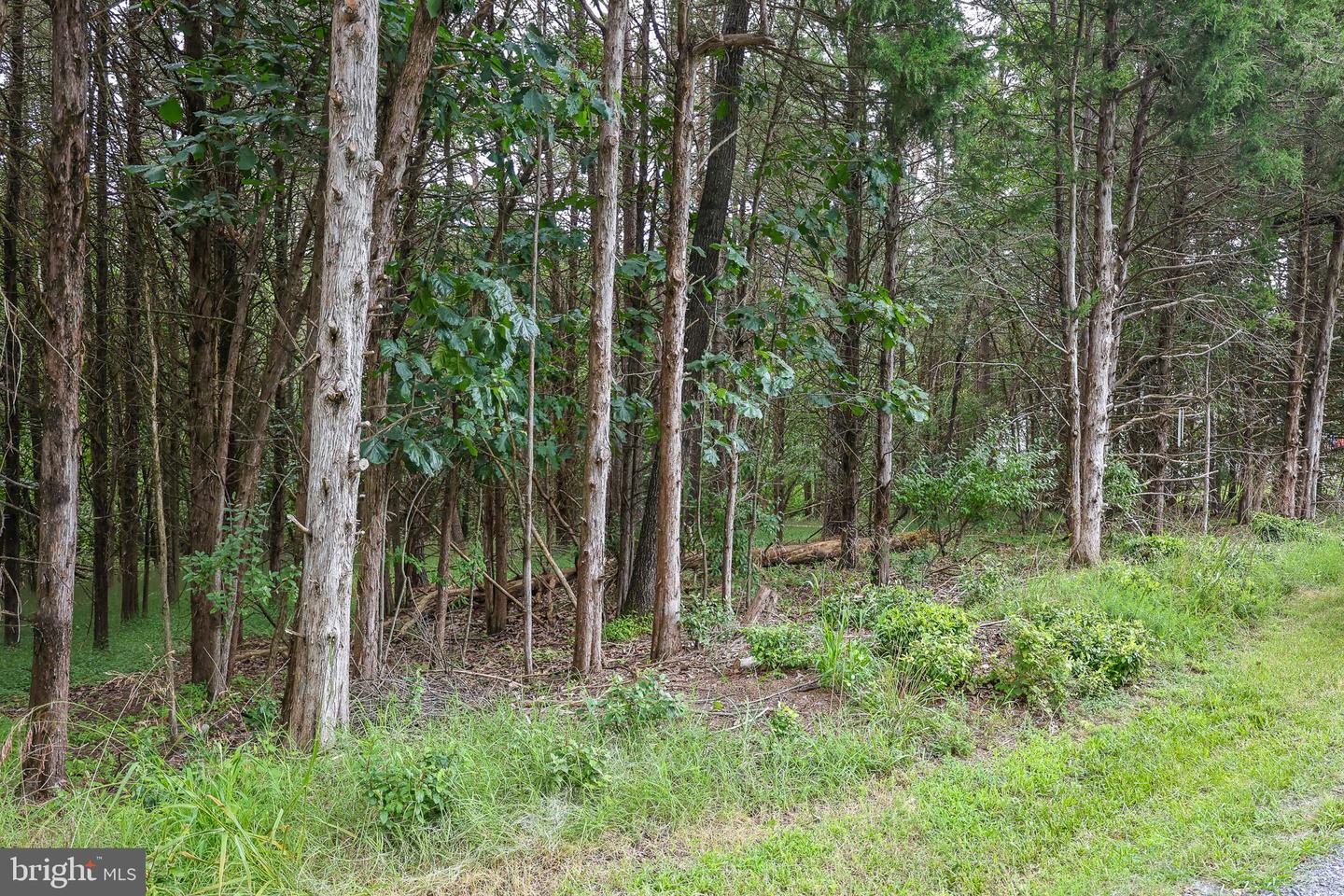 Lot 10 And Lot 11 River View Dr Property Photo 20
