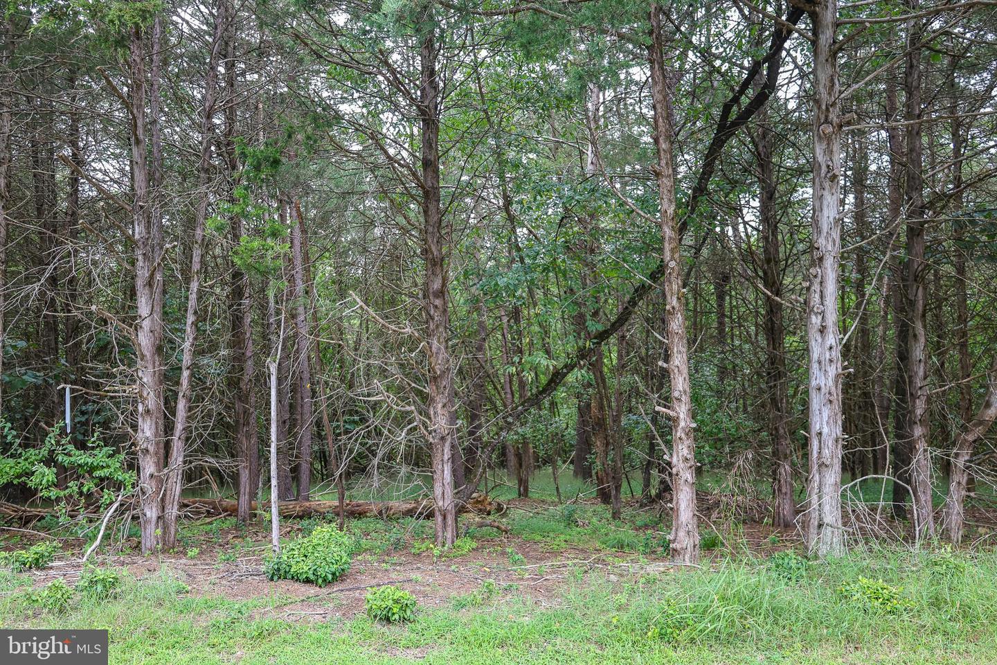 Lot 10 And Lot 11 River View Dr Property Photo 21