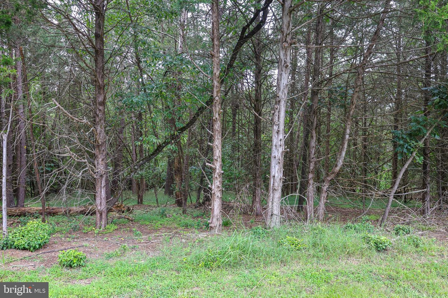 Lot 10 And Lot 11 River View Dr Property Photo 22