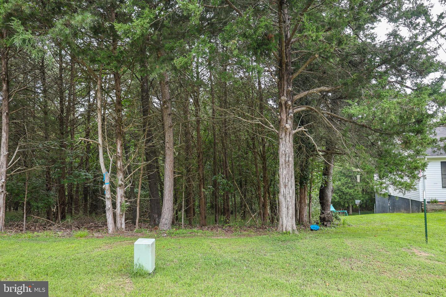 Lot 10 And Lot 11 River View Dr Property Photo 23