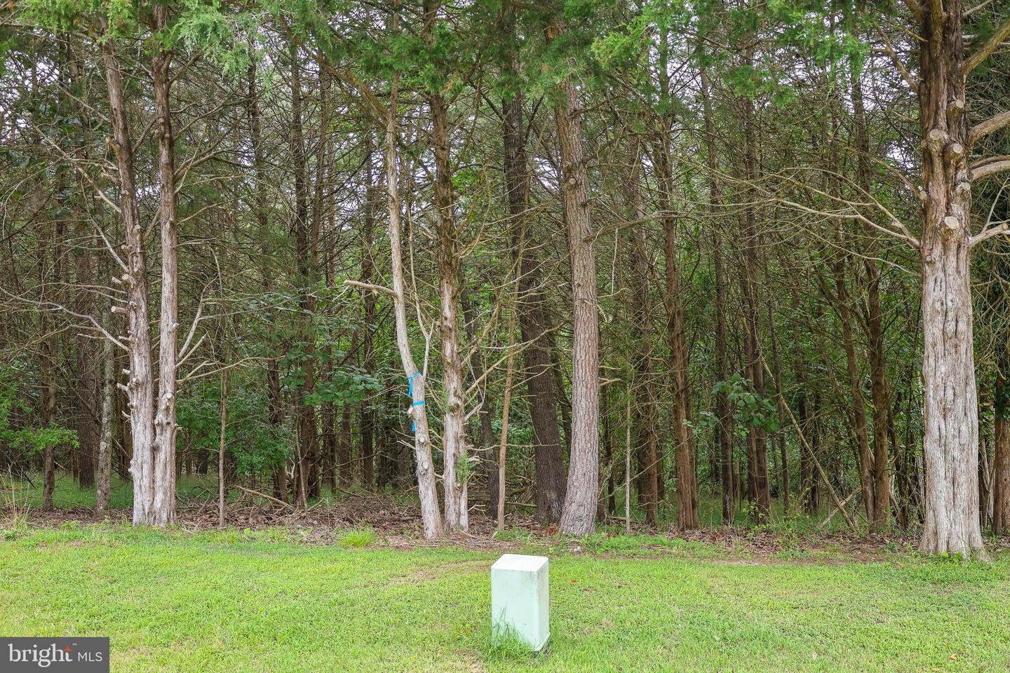 Lot 10 And Lot 11 River View Dr Property Photo 24