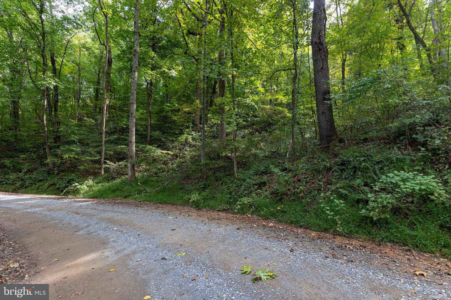 Lot 18a Friendly Ln Property Photo 10