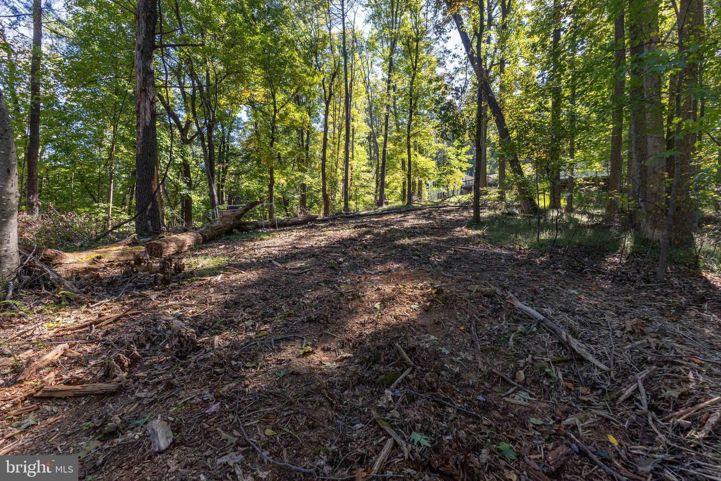 Lot 18a Friendly Ln Property Photo 36