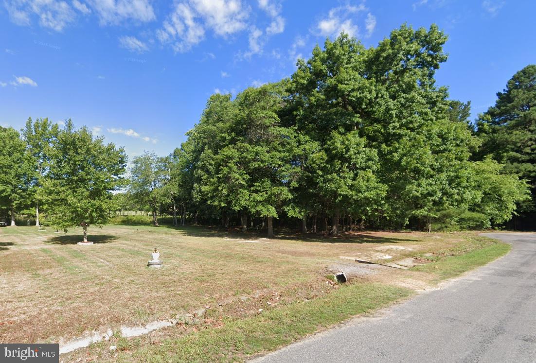 0 Circlewood Dr Property Photo 1