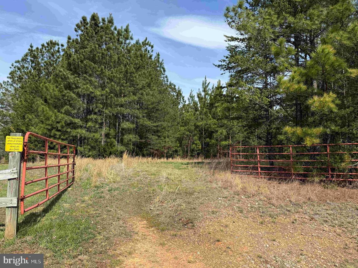 Water Oak Road (tract: C119 Wingfield) Property Photo 1