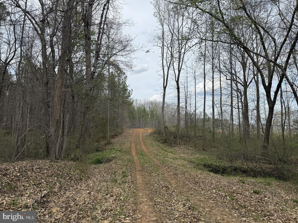 Dodson Road (tract: C117 Adams-thompson) Property Photo 1