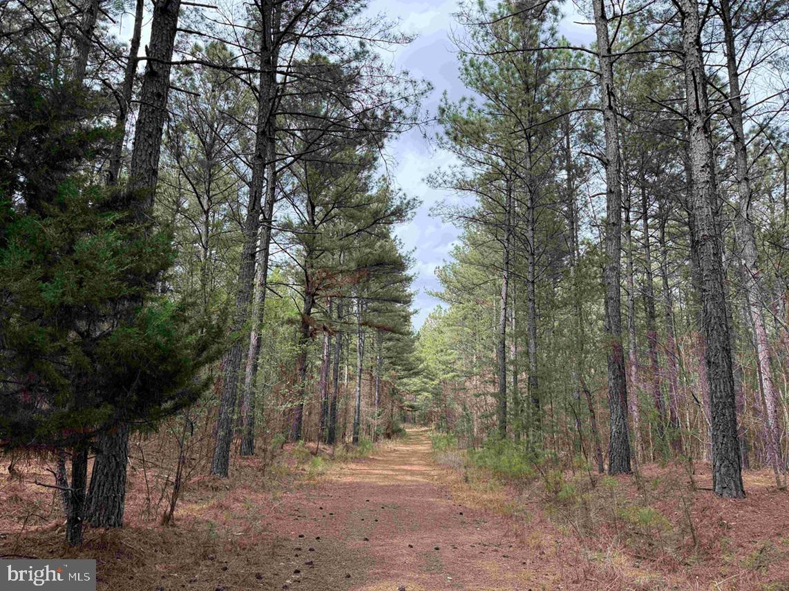Wyatt Farm Road (tract: C118 Carter-wells) Property Photo 1