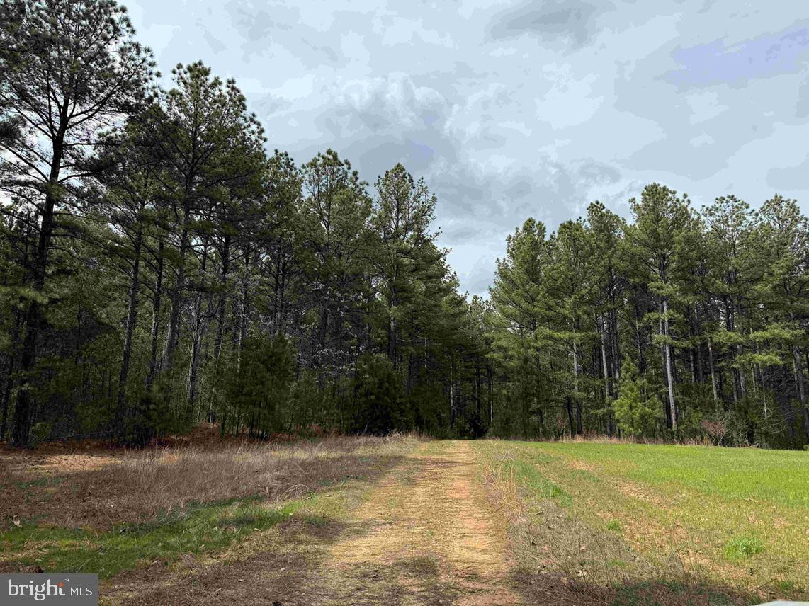 Wyatt Farm Road (tract: C118 Carter-wells) Property Photo 3
