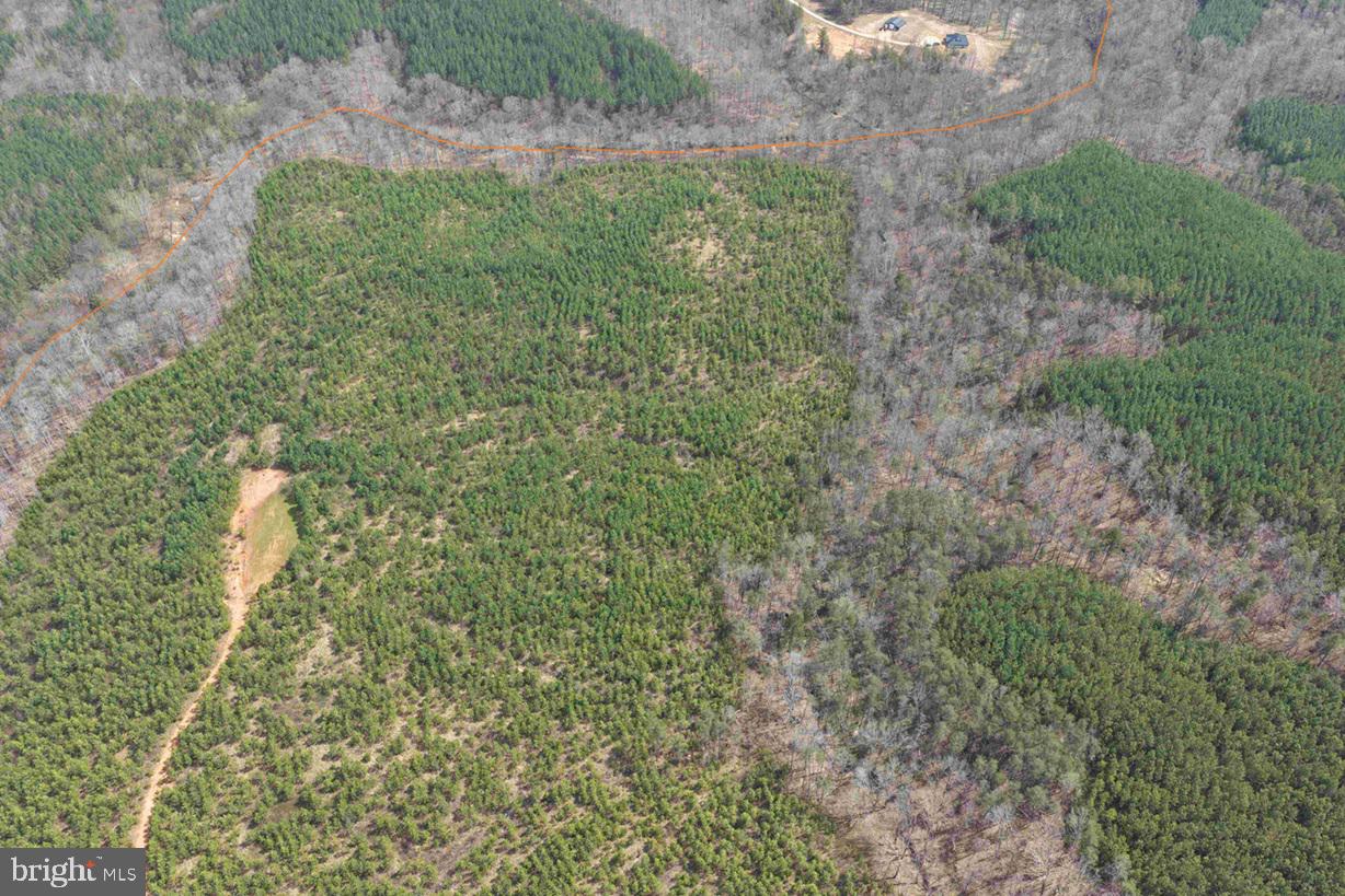 Wyatt Farm Road (tract: C118 Carter-wells) Property Photo 5