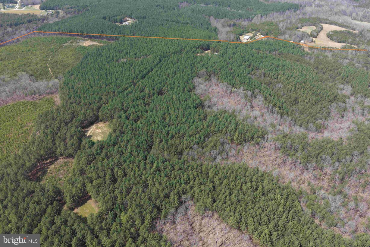 Wyatt Farm Road (tract: C118 Carter-wells) Property Photo 7
