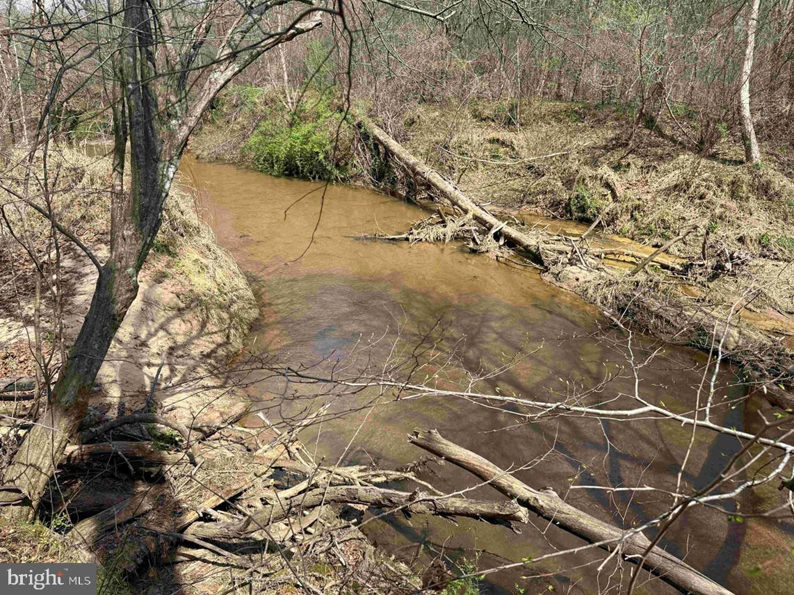 Wyatt Farm Road (tract: C118 Carter-wells) Property Photo 10