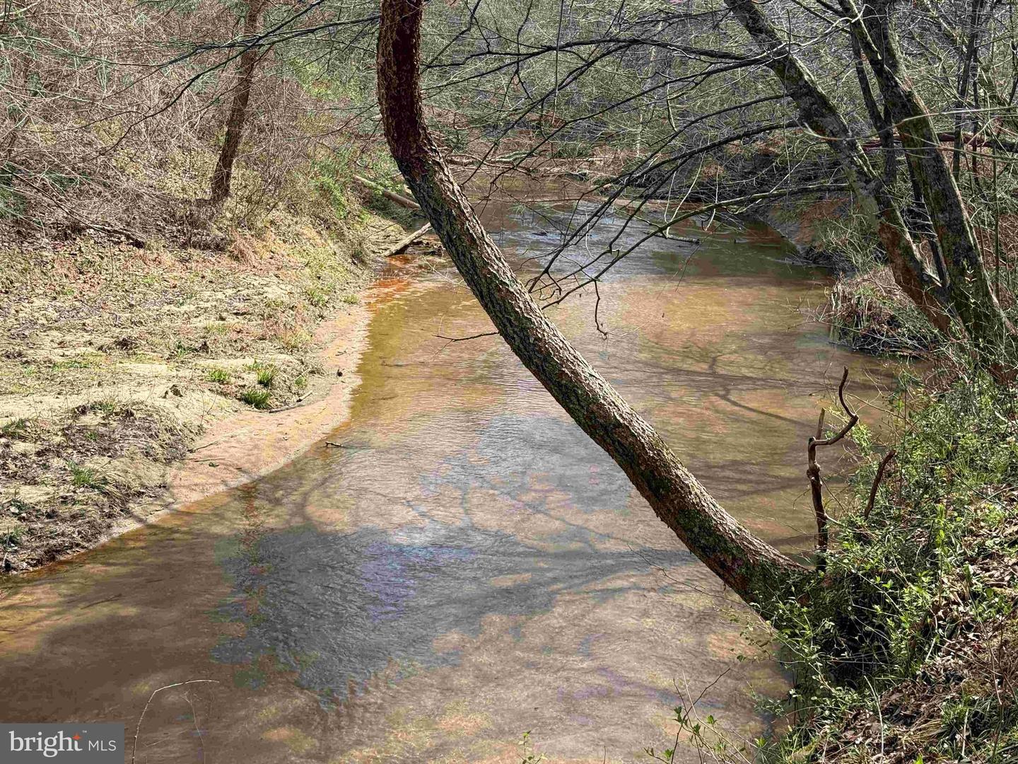 Wyatt Farm Road (tract: C118 Carter-wells) Property Photo 11